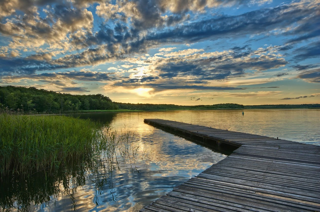 Living Shoreline Design 302 Training [OD] | The Swamp School