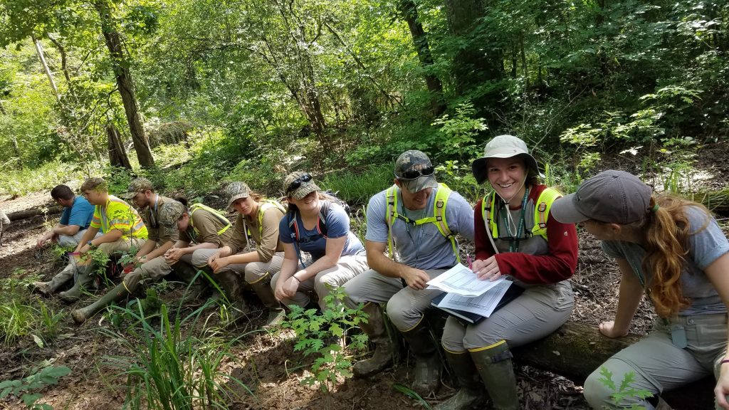 Wetland Delineation Training [Classroom/Field] The Swamp School